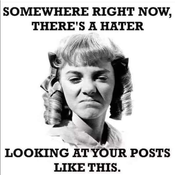 Meet your Posher, Missy - Picture 5 of 10